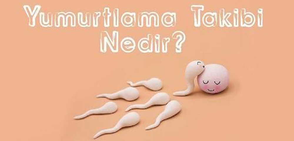 yumurta takibi