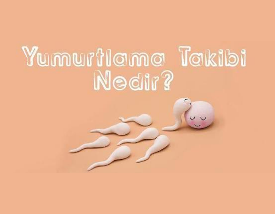 yumurta takibi